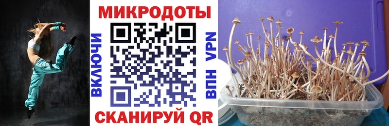 Галлюциногенные грибы мицелий Ермолино