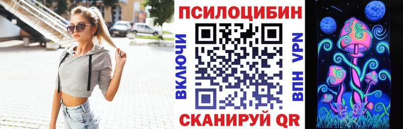 цена   Ермолино  Псилоцибиновые грибы Cubensis 